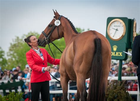 rolex eventing 2017|The Thoroughbreds of Rolex 2017, Presented by Retired.